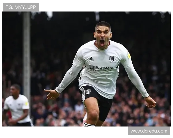 西班牙人免签塞尔维亚门神 德米特罗维奇加盟镇守龙门(2) 西班牙人免签塞尔维亚门神 德米特罗维奇加盟镇守龙门(2)